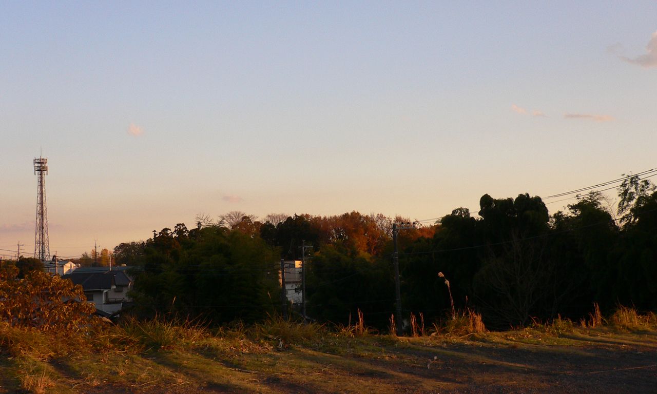 写真：丘の上から見た西八朔町の風景